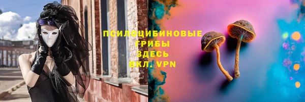 скорость Бикин