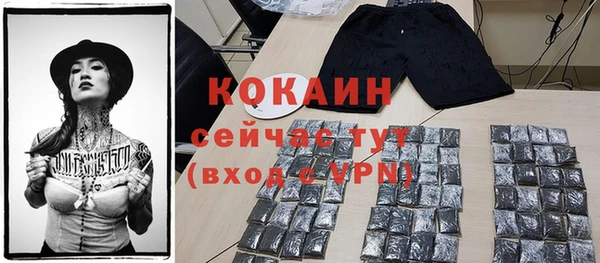 скорость Бикин