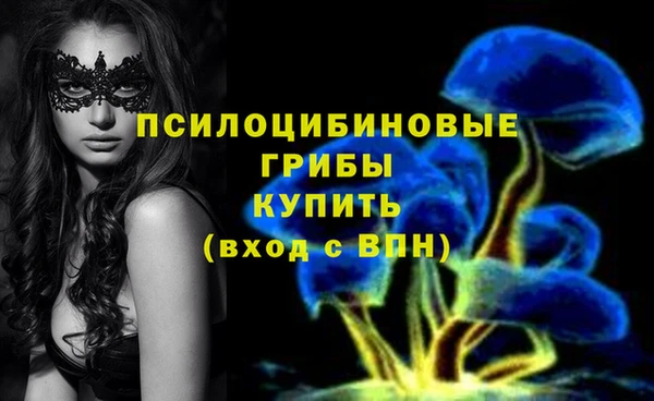 скорость Бикин