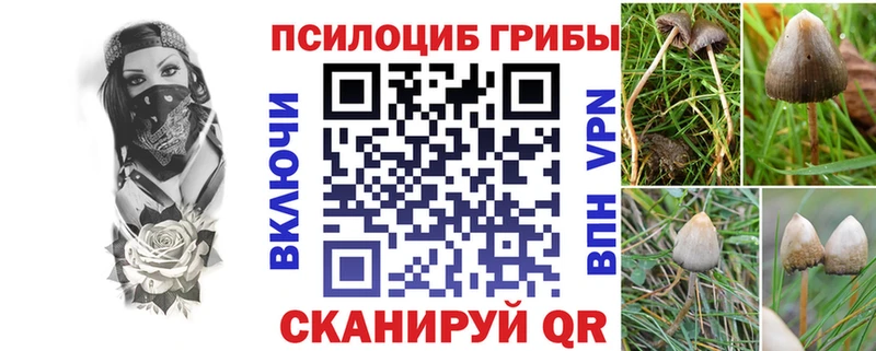 omg онион  Клин  Псилоцибиновые грибы ЛСД  купить закладку 