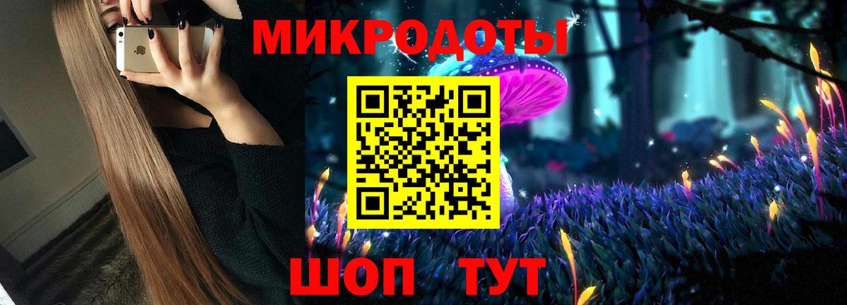 Псилоцибиновые грибы Psilocybe  Клин  Галлюциногенные грибы Psilocybe 