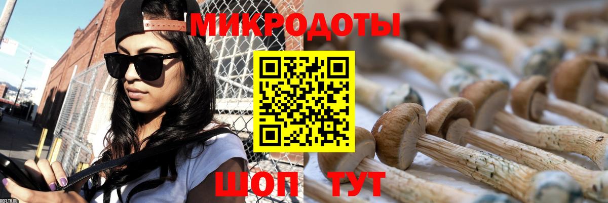 Клин  Галлюциногенные грибы Cubensis  Вход с VPN 